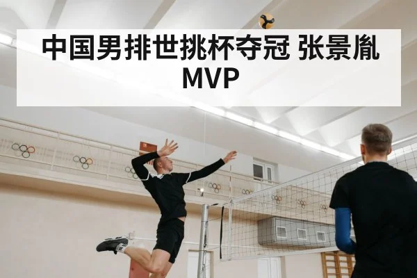 中国男排世挑杯夺冠 张景胤MVP